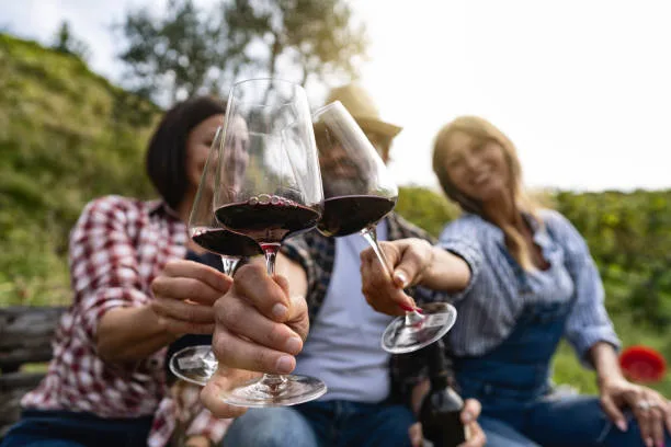 Tips To Make Your Sonoma Wine Tour Better