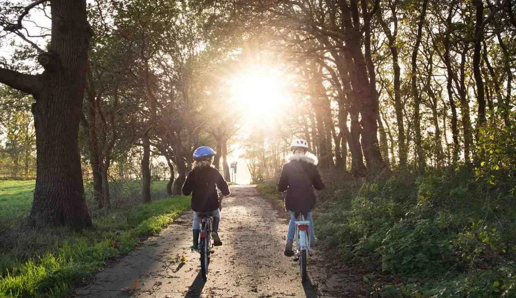 Ways to Explore Nashville Without a Car