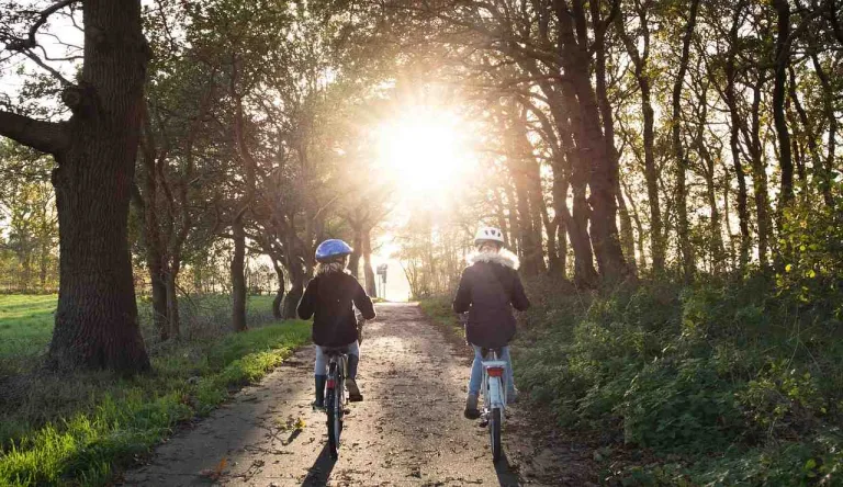 Ways to Explore Nashville Without a Car