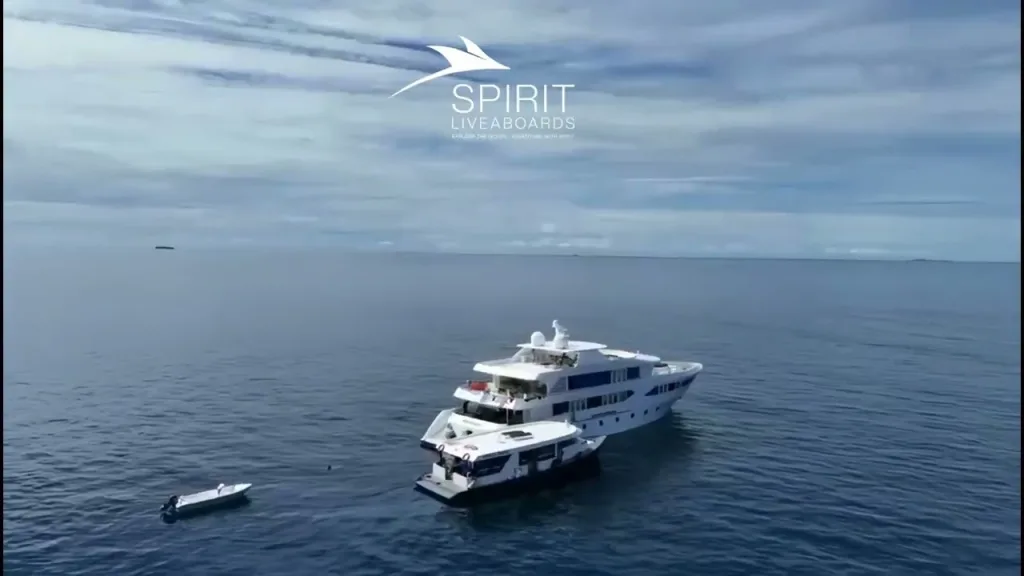 Liveaboard Diving in the Maldives