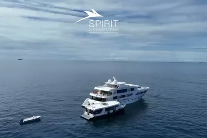 Liveaboard Diving in the Maldives