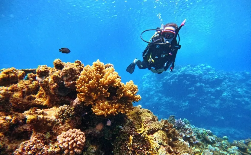 Choosing a Dive Resort in Fiji