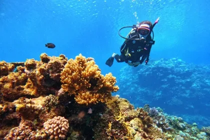 Choosing a Dive Resort in Fiji