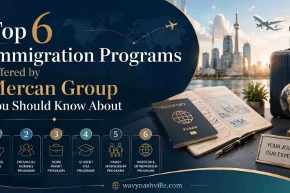 Immigration Programs Offered by Mercan Group You Should Know About
