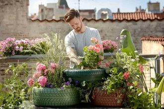 Garden Maintenance Tips to Create a Thriving Garden Oasis Long-Term