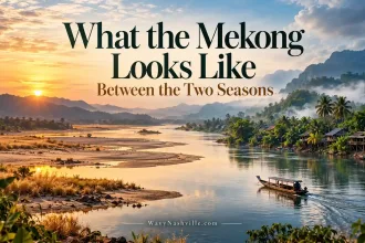 Mekong River Cruises What the Water Does Season to Season