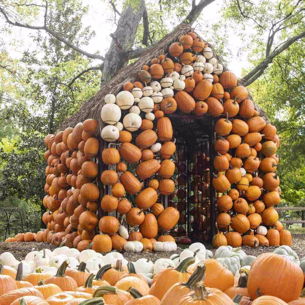 House made of pumpkins, a fall spectacle in Nashville in October.