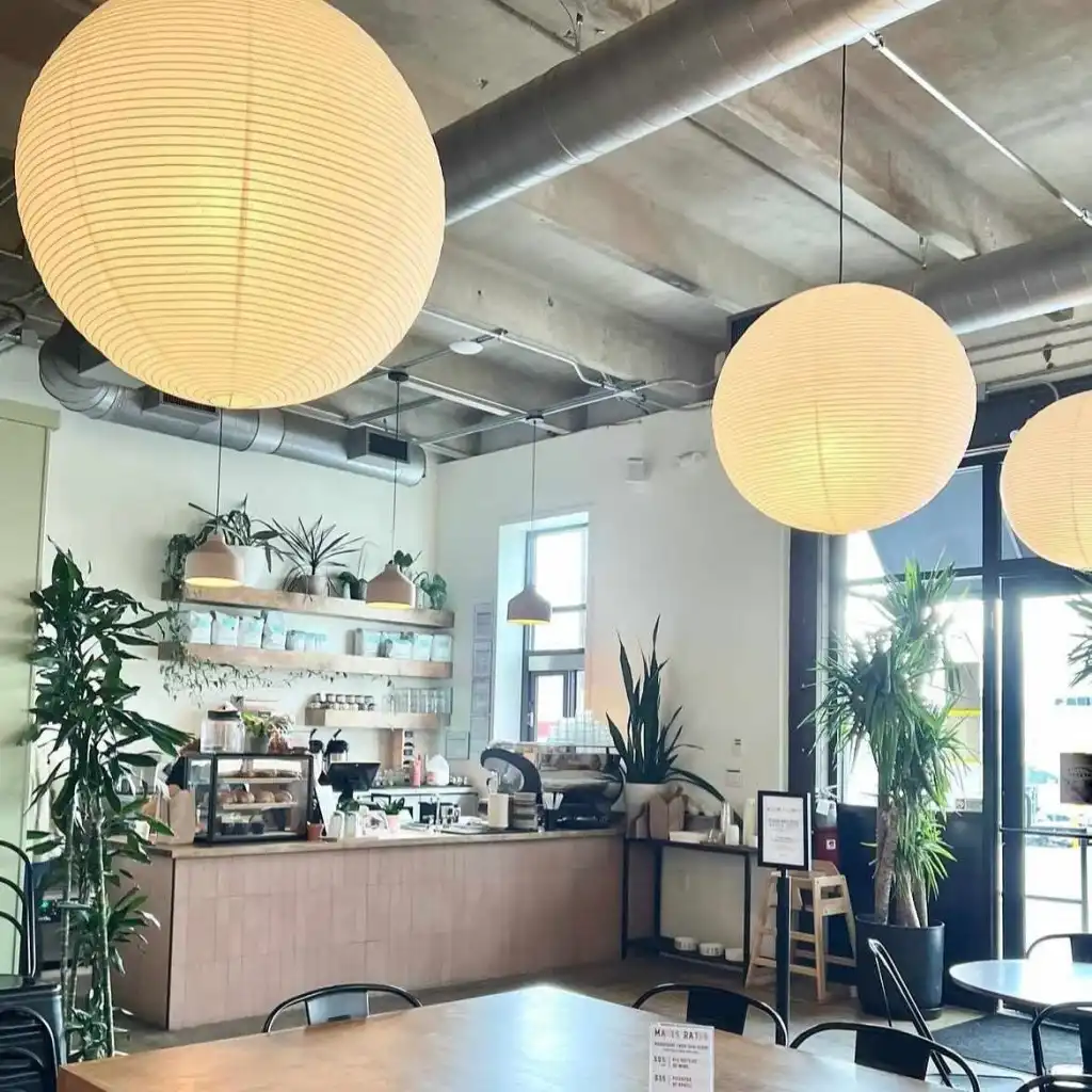The bright, modern interior of Hearts Nashville coffee shop, featuring large paper lanterns and plants