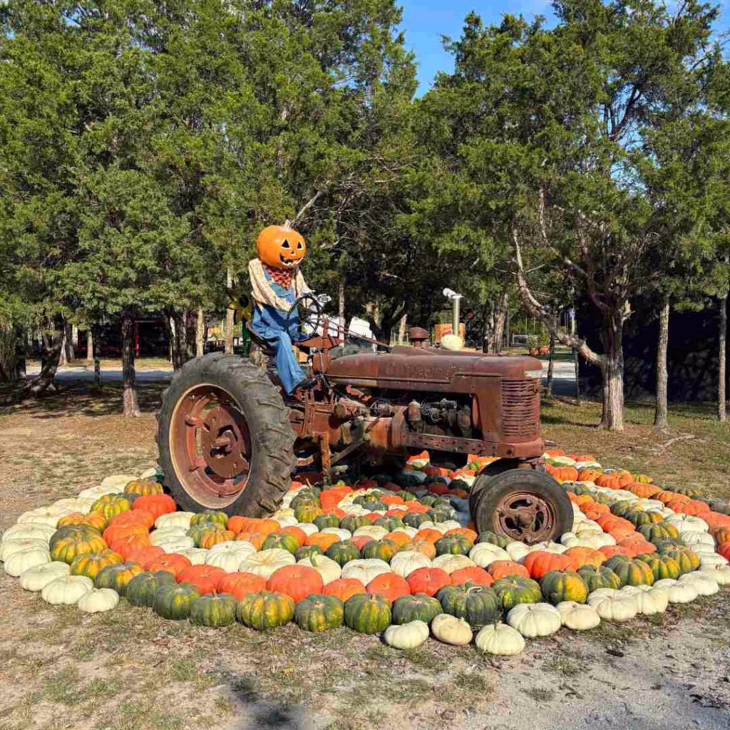 Pumpkin-headed scarecrow on tractor amidst pumpkins, perfect for Nashville in October.