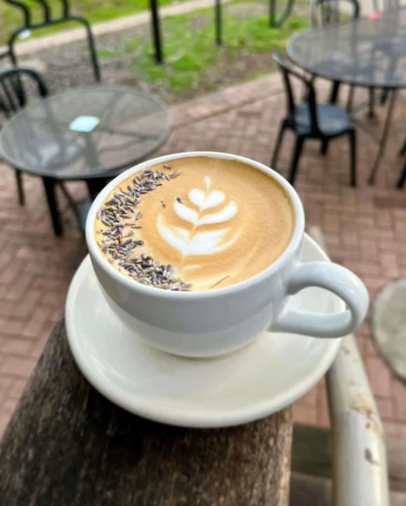 Close-up of a lavender latte with a leaf design, a great cafe in the East Nashville Guide