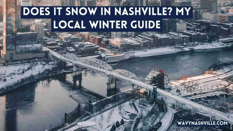 Does It Snow in Nashville